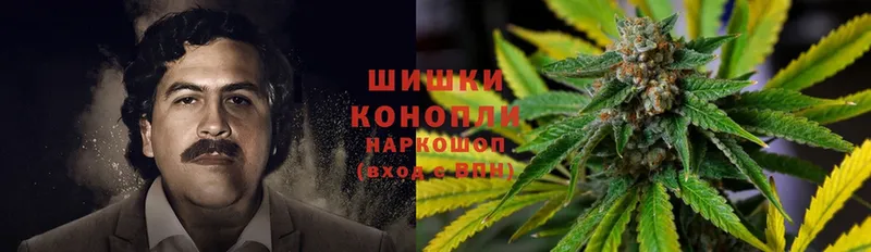 kraken зеркало  Амурск  Конопля THC 21% 